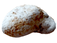 stein